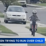 Driver chases ebike